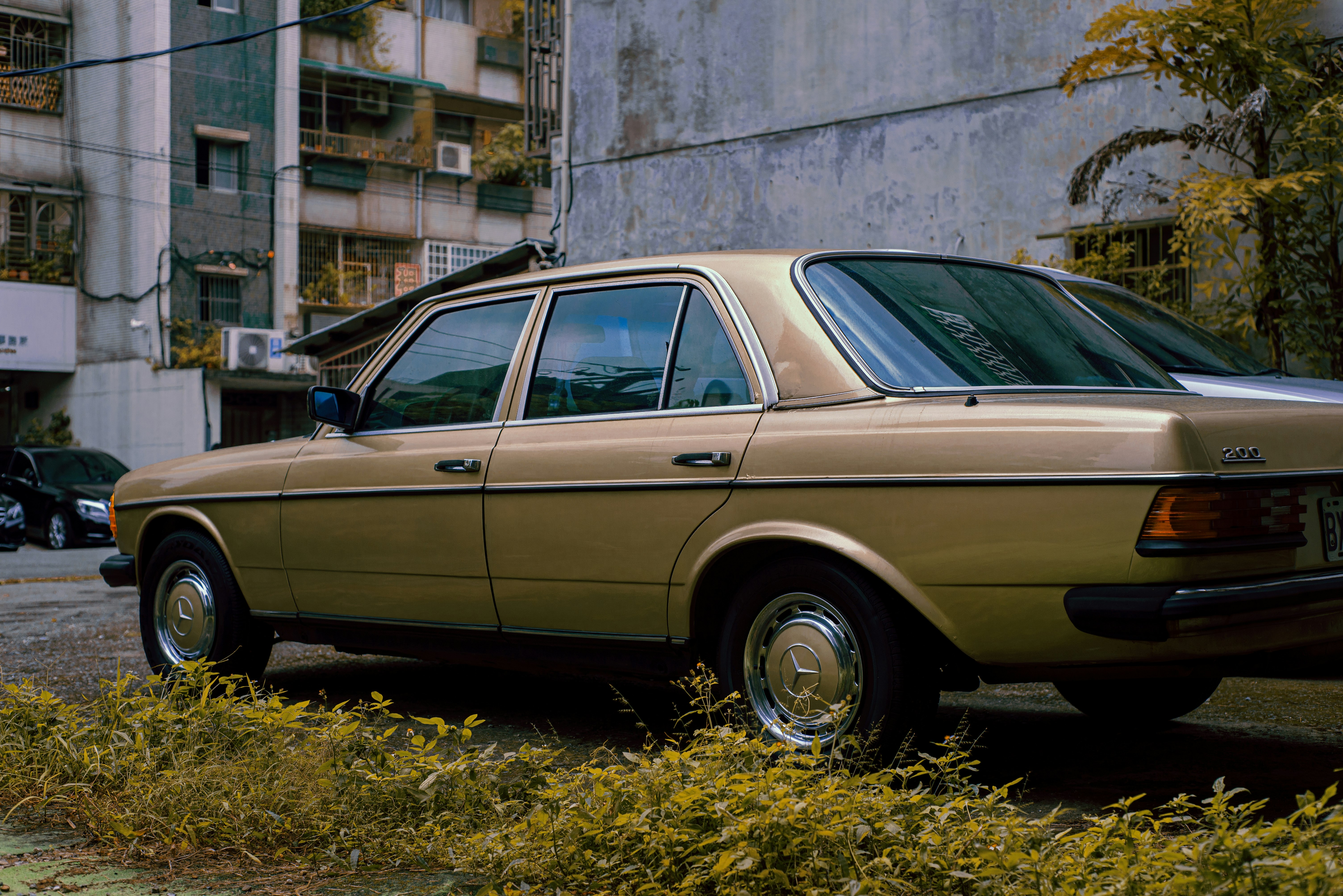 brown and white sedan parked on green grass during daytime